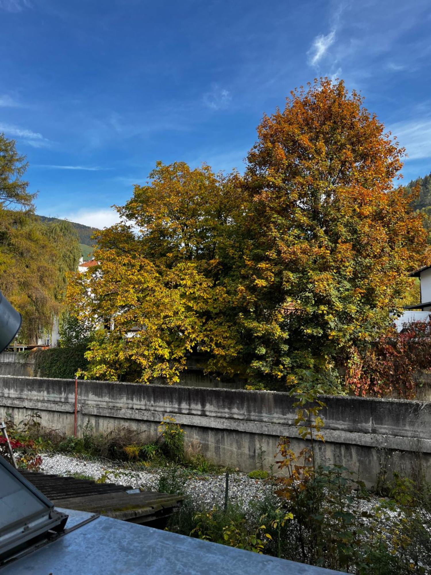 Gasthof Sterzingerhof Exterior foto
